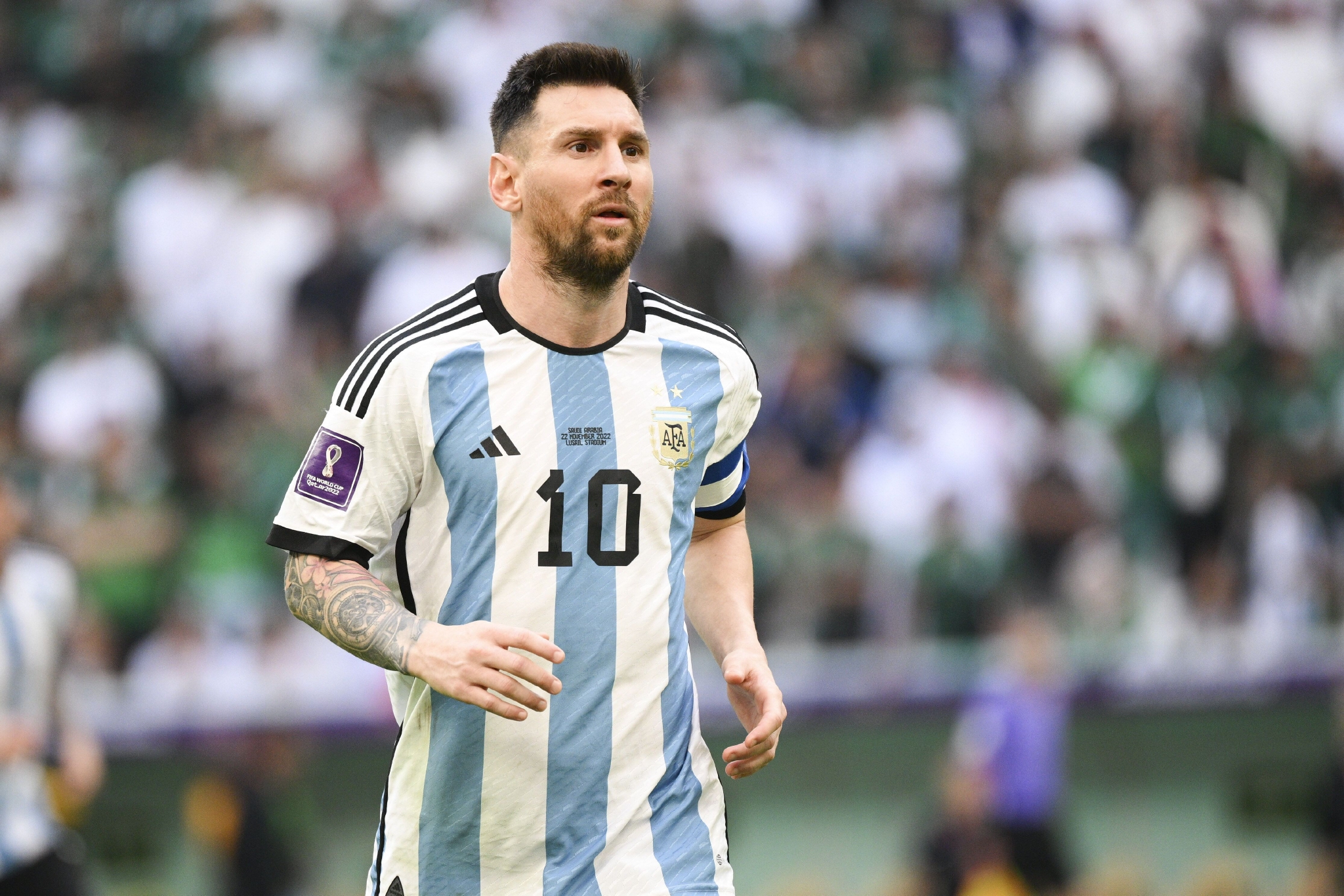 它的含义 它的含义